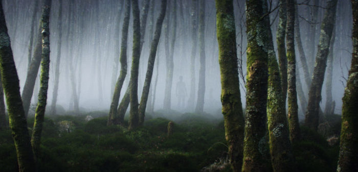 SIFF Review: Without Name {May 28, June 2, June 4} Without Name