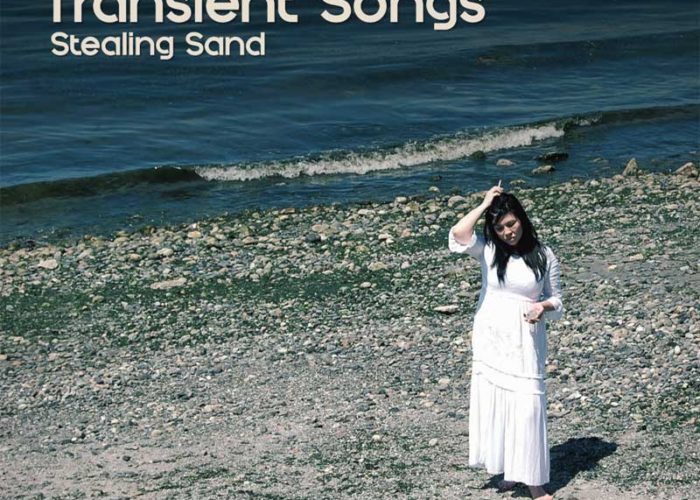 Stealing Sand by Transient Songs Transient Songs