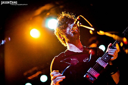{Foals / by Jason Tang}