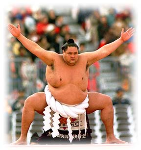 Photo from www.sumo-basho.com